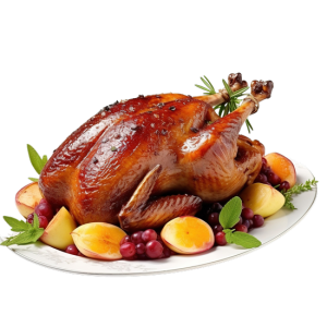 Vịt Quay - Gà Nướng (5)