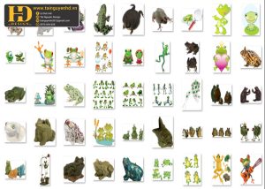 Ảnh Con Ếch Tách Nền PNG 1