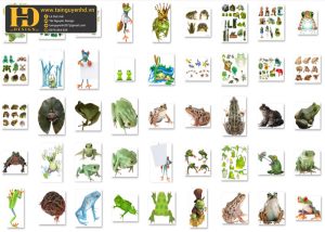 Ảnh Con Ếch Tách Nền PNG