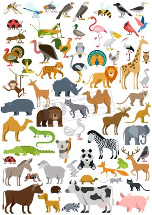 Animals, Vector Động Vật Trong Khu Rừng (6)