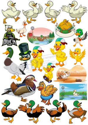Animals, Vector Động Vật Trong Khu Rừng (9)