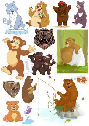Bear, Con Gấu, Vector Con Gấu (12)