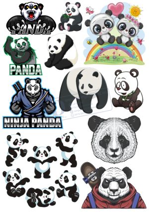 Bear, Con Gấu, Vector Con Gấu (9)