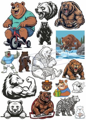 Bear, Vector Con Gấu 1