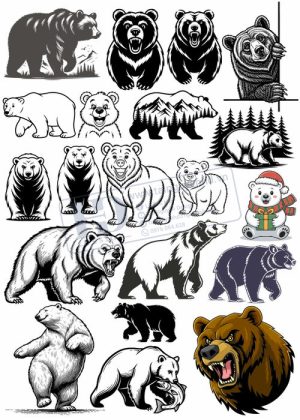 Bear, Vector Con Gấu 10