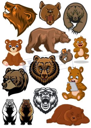 Bear, Vector Con Gấu 101