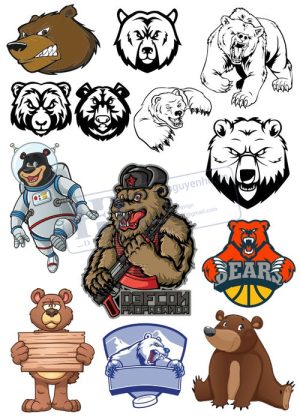 Bear, Vector Con Gấu 105