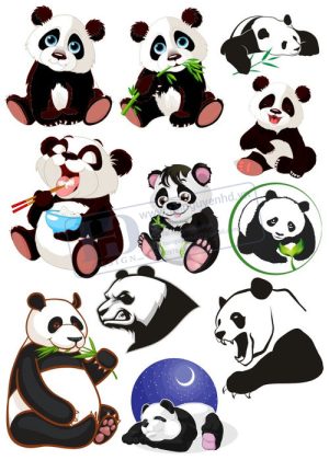 Bear, Vector Con Gấu 106