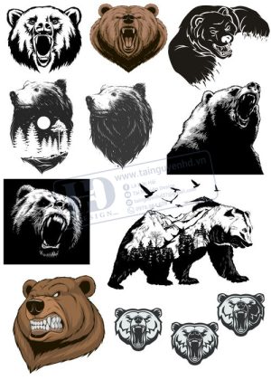 Bear, Vector Con Gấu 109
