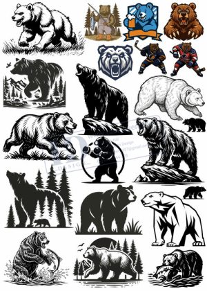 Bear, Vector Con Gấu 11