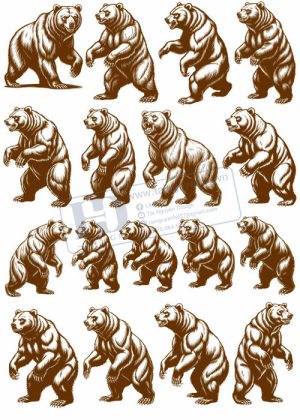 Bear, Vector Con Gấu 14