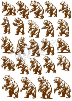 Bear, Vector Con Gấu 15