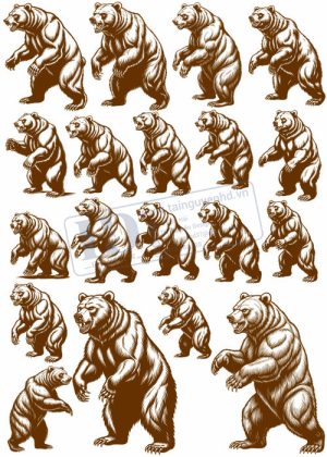 Bear, Vector Con Gấu 16