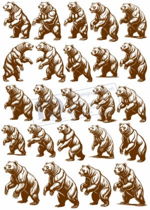 Bear, Vector Con Gấu 17