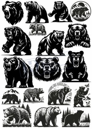 Bear, Vector Con Gấu 18