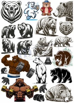 Bear, Vector Con Gấu 19