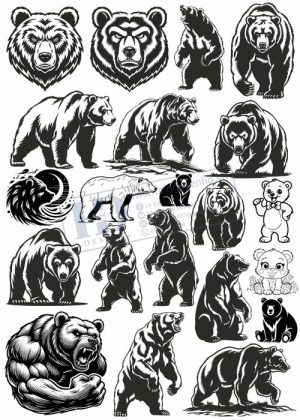 Bear, Vector Con Gấu 20