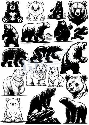 Bear, Vector Con Gấu 22