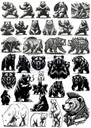 Bear, Vector Con Gấu 23