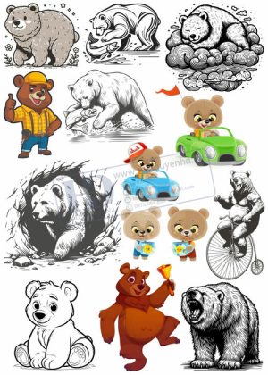 Bear, Vector Con Gấu 24