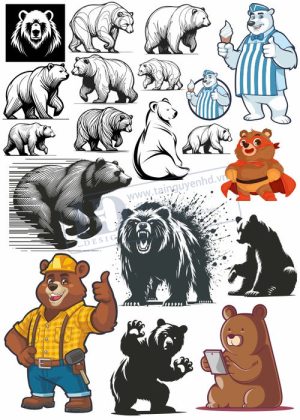 Bear, Vector Con Gấu 26