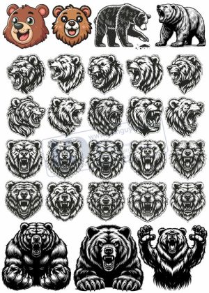 Bear, Vector Con Gấu 28
