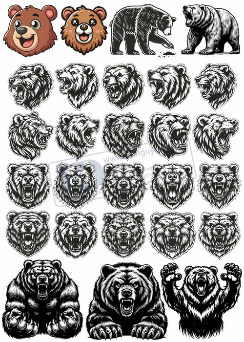 Bear, Vector Con Gấu 28