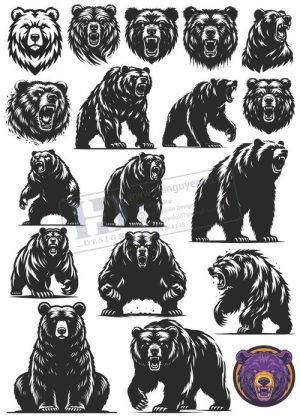 Bear, Vector Con Gấu 29