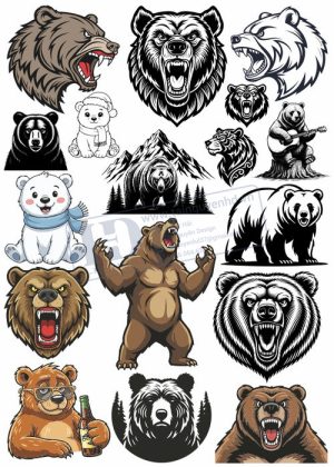 Bear, Vector Con Gấu 3
