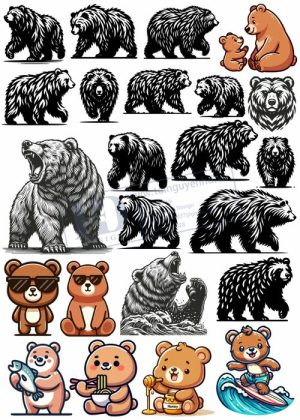 Bear, Vector Con Gấu 30