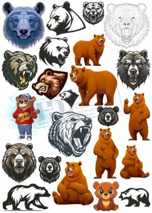 Bear, Vector Con Gấu 33