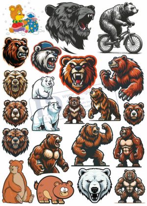 Bear, Vector Con Gấu 34