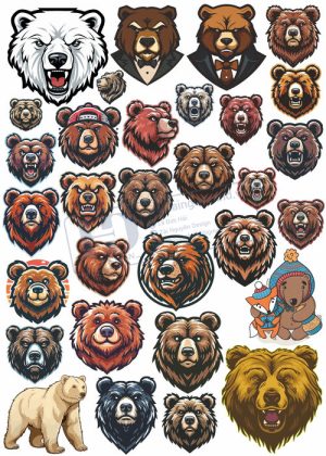 Bear, Vector Con Gấu 35