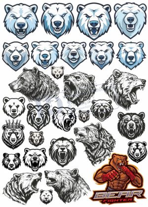 Bear, Vector Con Gấu 36