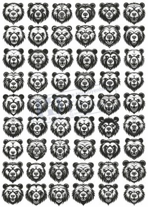 Bear, Vector Con Gấu 37