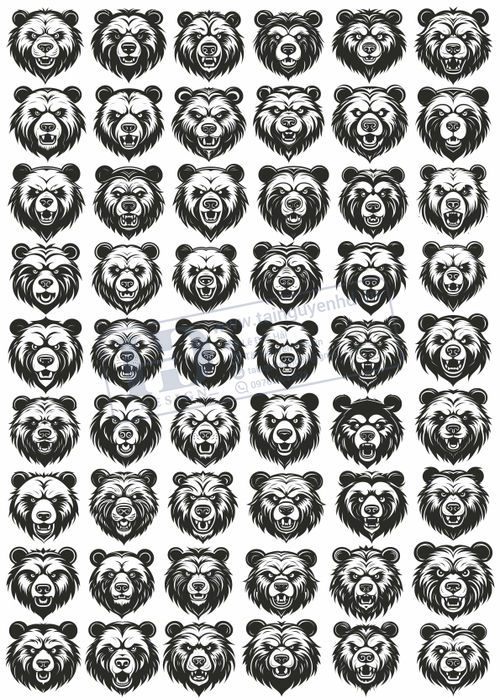 Bear, Vector Con Gấu 37