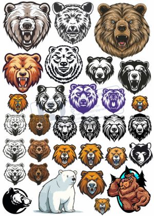 Bear, Vector Con Gấu 38