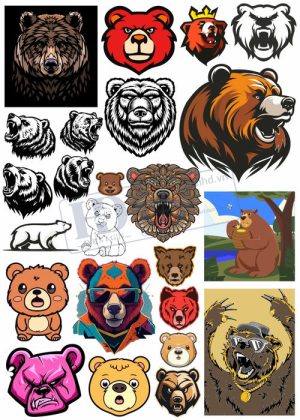 Bear, Vector Con Gấu 41