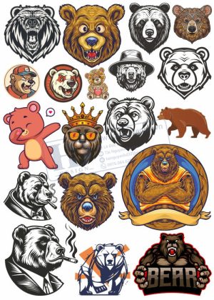 Bear, Vector Con Gấu 42