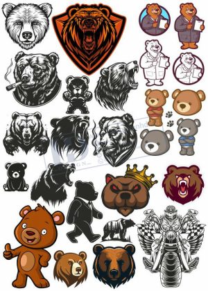 Bear, Vector Con Gấu 45