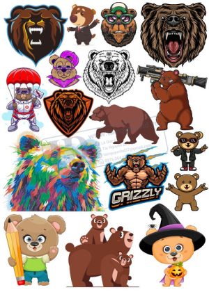 Bear, Vector Con Gấu 49