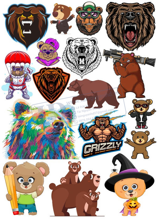 Bear, Vector Con Gấu 49