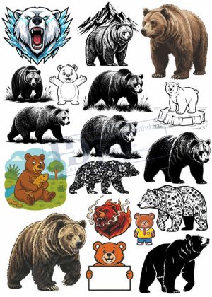 Bear, Vector Con Gấu 5