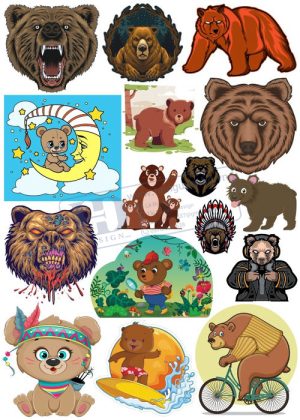 Bear, Vector Con Gấu 50
