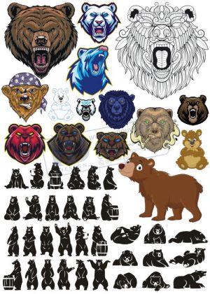 Bear, Vector Con Gấu 51