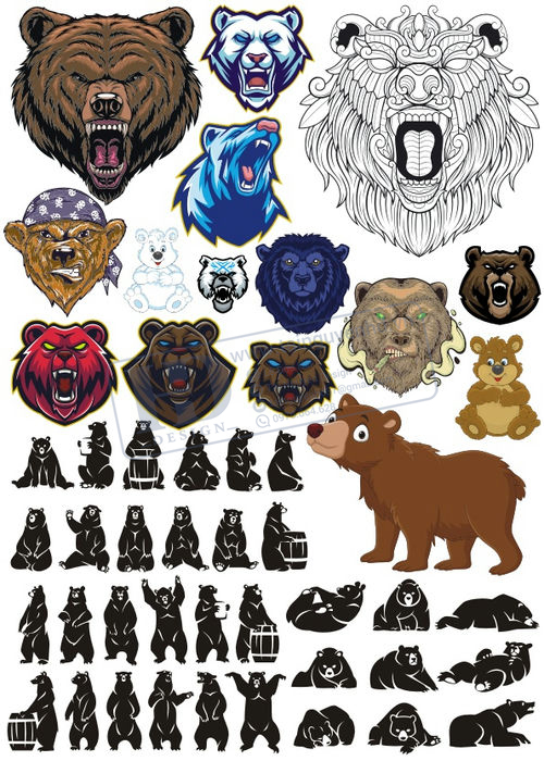 Bear, Vector Con Gấu 51
