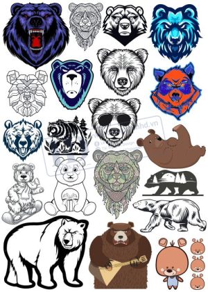 Bear, Vector Con Gấu 52