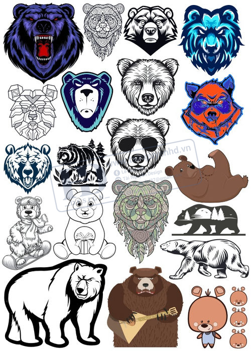 Bear, Vector Con Gấu 52