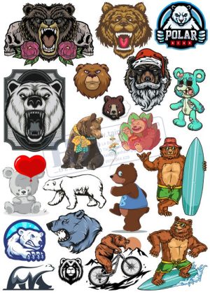 Bear, Vector Con Gấu 53