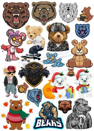Bear, Vector Con Gấu 56